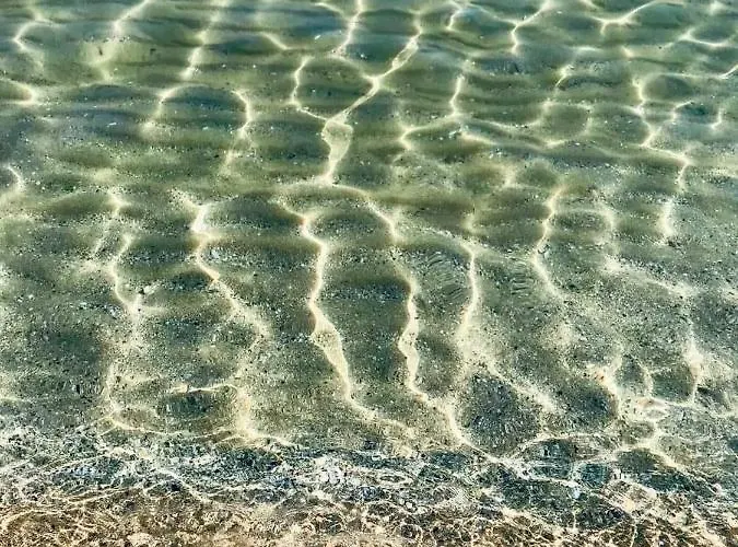 Apartman градина луксозен *