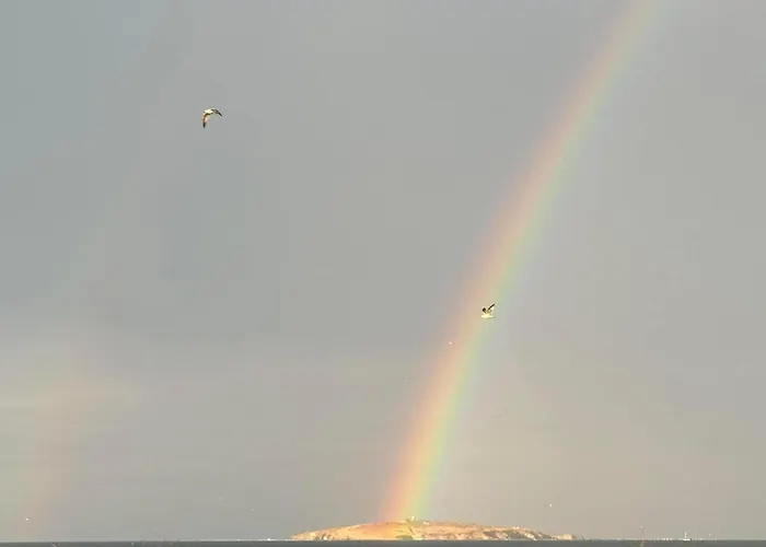 градина луксозен