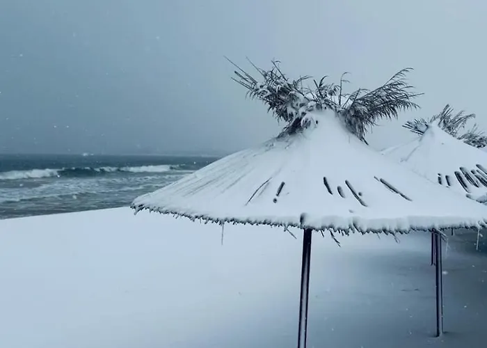 градина луксозен Apartman